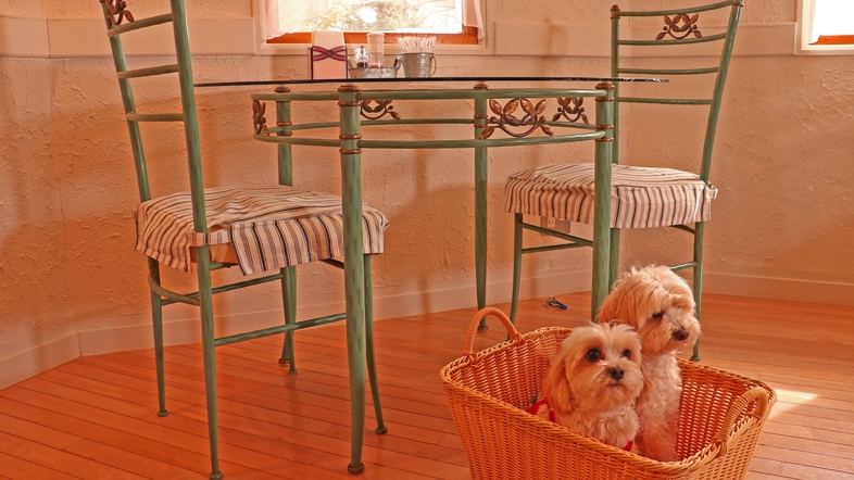 那須温泉　愛犬と泊まれる美味しいプチホテル　ザ・ハートフィールド・イン
